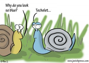 JPCartoon-snail