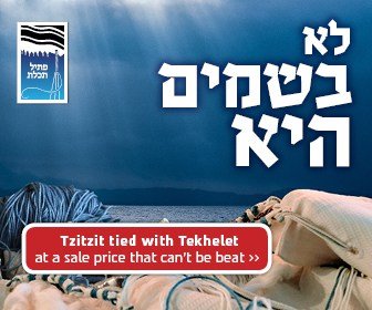 Parshat Shelach Sale
